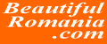Romanian search engine for English-speaking persons